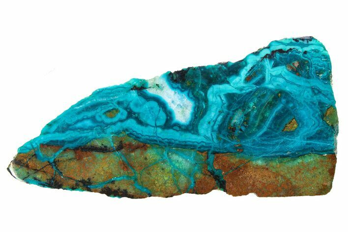 Polished Banded Chrysocolla Slice - Bagdad Mine, Arizona #298426